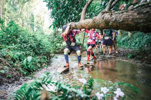 BIB: 
                            <button type="button" onclick="openModal(25517421)" class="btn btn-primary btn-sm float-right btn-popup" data-toggle="modal" data-target=".modal-high-quality">
                        <i class="fas fa-shopping-cart"></i> Add to Cart
                    </button>
                                            <button type="button" onclick="isThisMe(25517421, true)" class="btn btn-success btn-sm float-right btn-popup btn-isme hidden" data-toggle="tooltip" data-placement="bottom" title="นี่คือรูปของคุณใช่ไหม คลิกที่นี่เพื่อเอาเข้าอัลบั้ม">
                        <i class="fas fa-plus"></i> Add to album
                    </button>
                    <button type="button" onclick="isThisMe(25517421, false)" class="btn btn-warning btn-sm float-right btn-popup btn-isnotme hidden">
                        <i class="fas fa-ban"></i> Remove from album
                    </button>